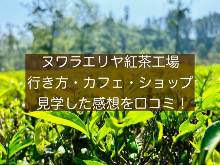 page-eyecatch
