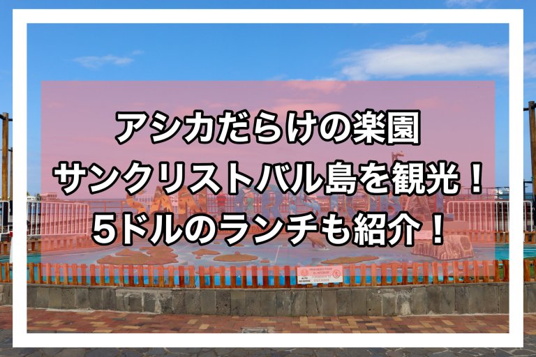 page-eyecatch
