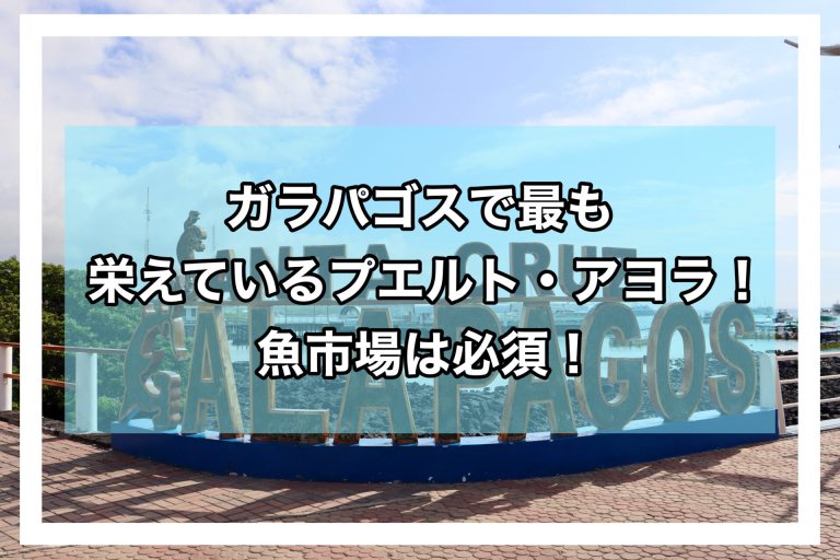 page-eyecatch