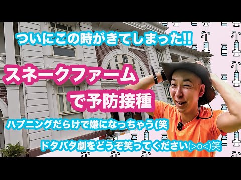 page-eyecatch