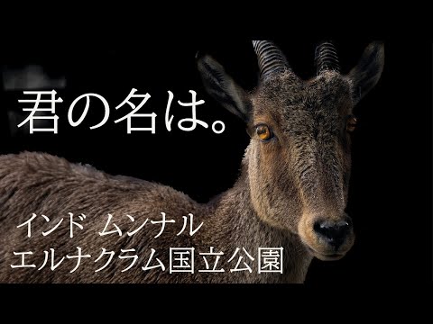 page-eyecatch