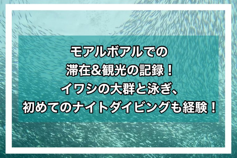 page-eyecatch
