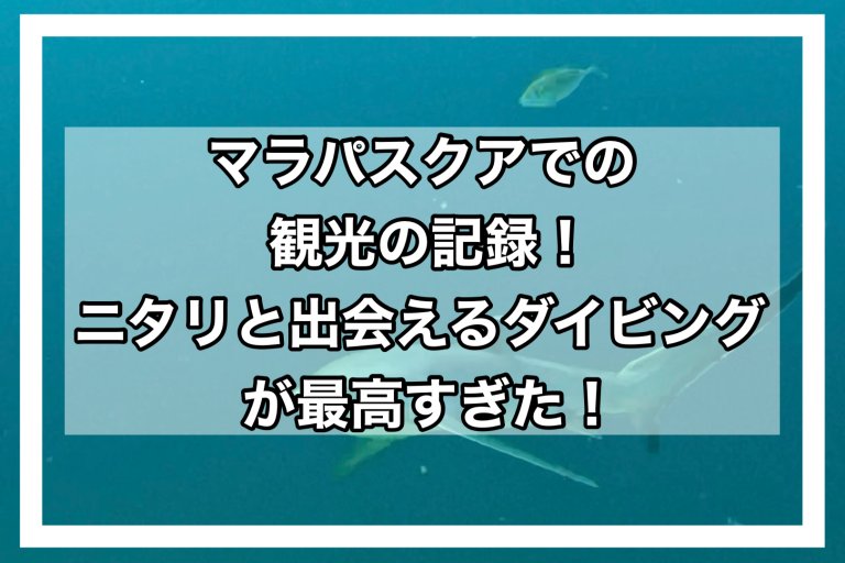 page-eyecatch