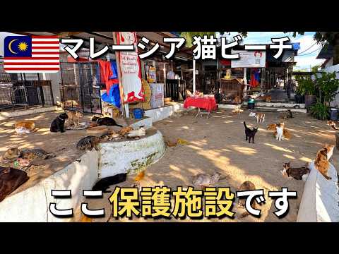 page-eyecatch